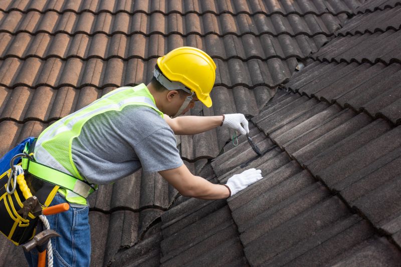 Professional Inspection of Clay Roof