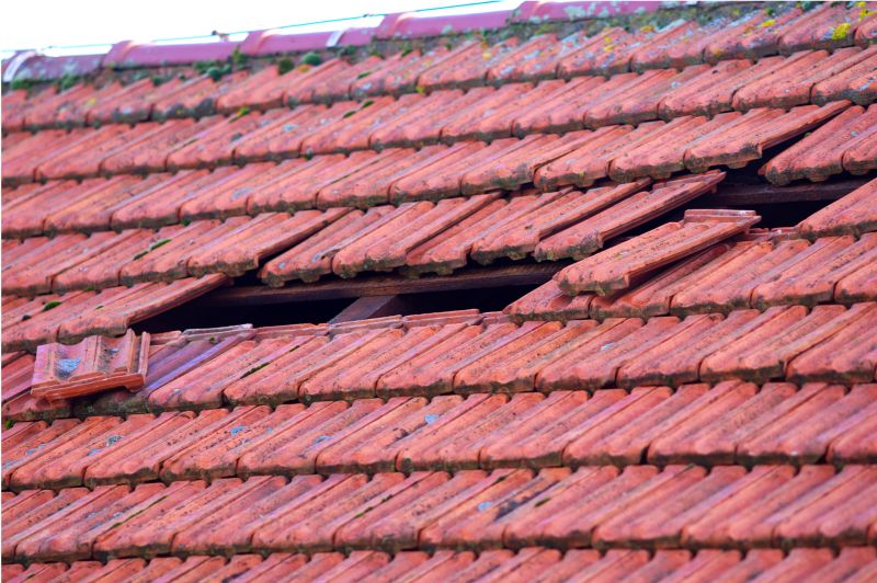 Roof Condition and Age