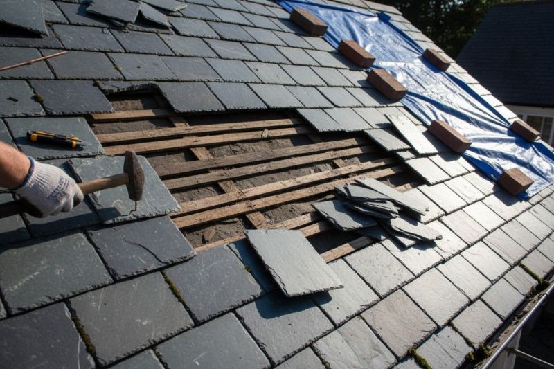 What To Expect During A Professional Tile Roof Repair